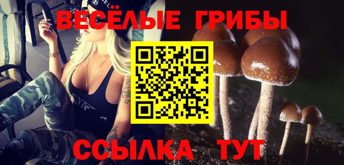 Галлюциногенные грибы GOLDEN TEACHER  Вход с VPN  Заводоуковск 
